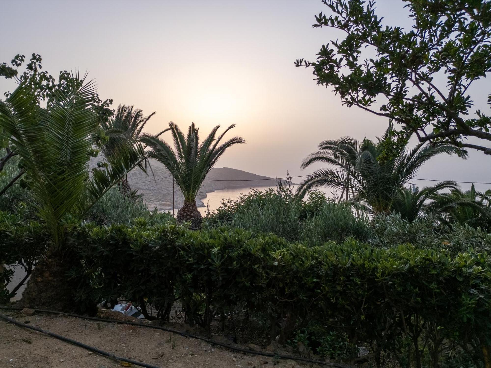 Vitamin Sea Luxury Villas Ajía Pelajía Kültér fotó